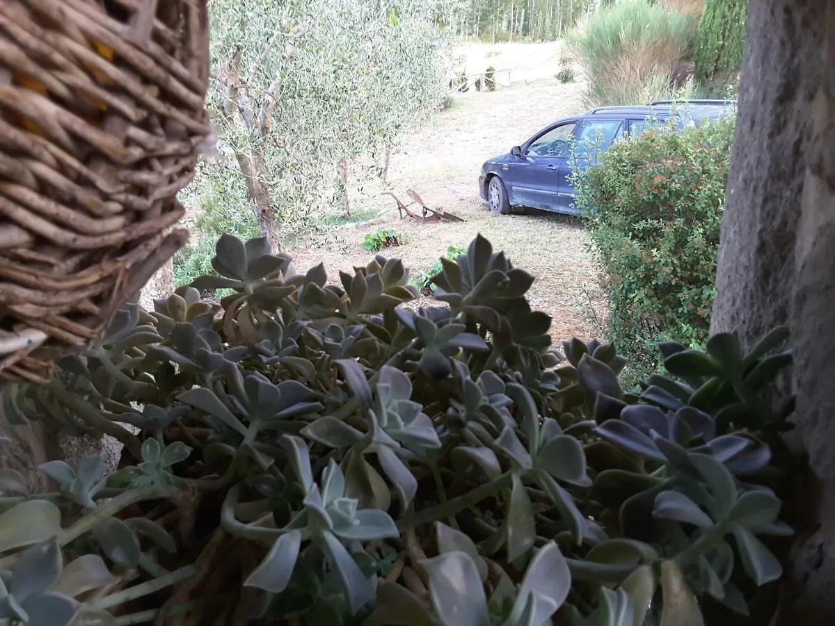 Farm stay Poggio Bicchieri Villa Campiglia d'Orcia